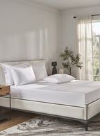 MONARCH-BRILLIANT WHITE KING BED SHEET SET