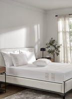 TERRA-BRILLIANT WHITE KING BED SHEET SET