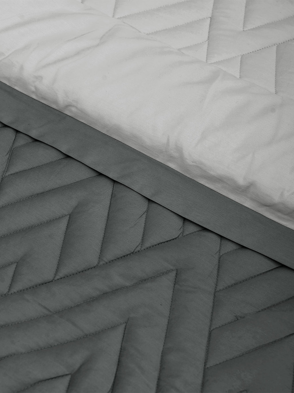 GARNET-GRIFFIN - SILVER REVERSIBLE SINGLE COMFORTER