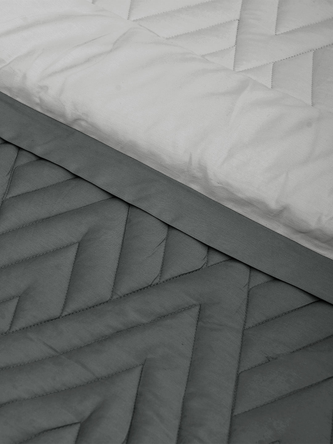 GARNET-GRIFFIN - SILVER REVERSIBLE SINGLE COMFORTER