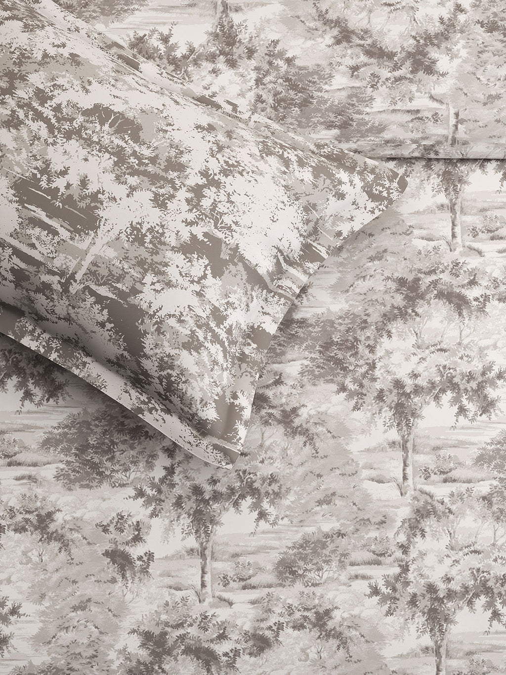 CANOPY-DOVE GREY KING BED SHEET SET
