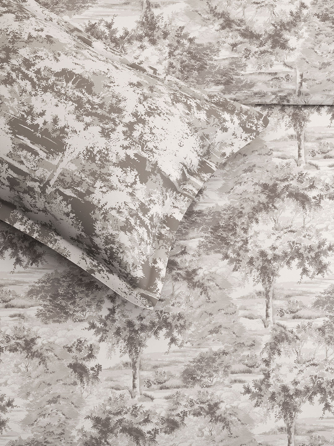 CANOPY-DOVE GREY KING BED SHEET SET