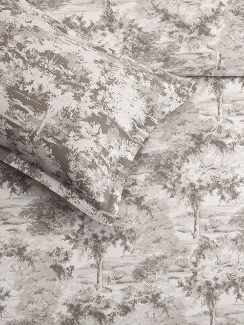 CANOPY-DOVE GREY KING BED SHEET SET