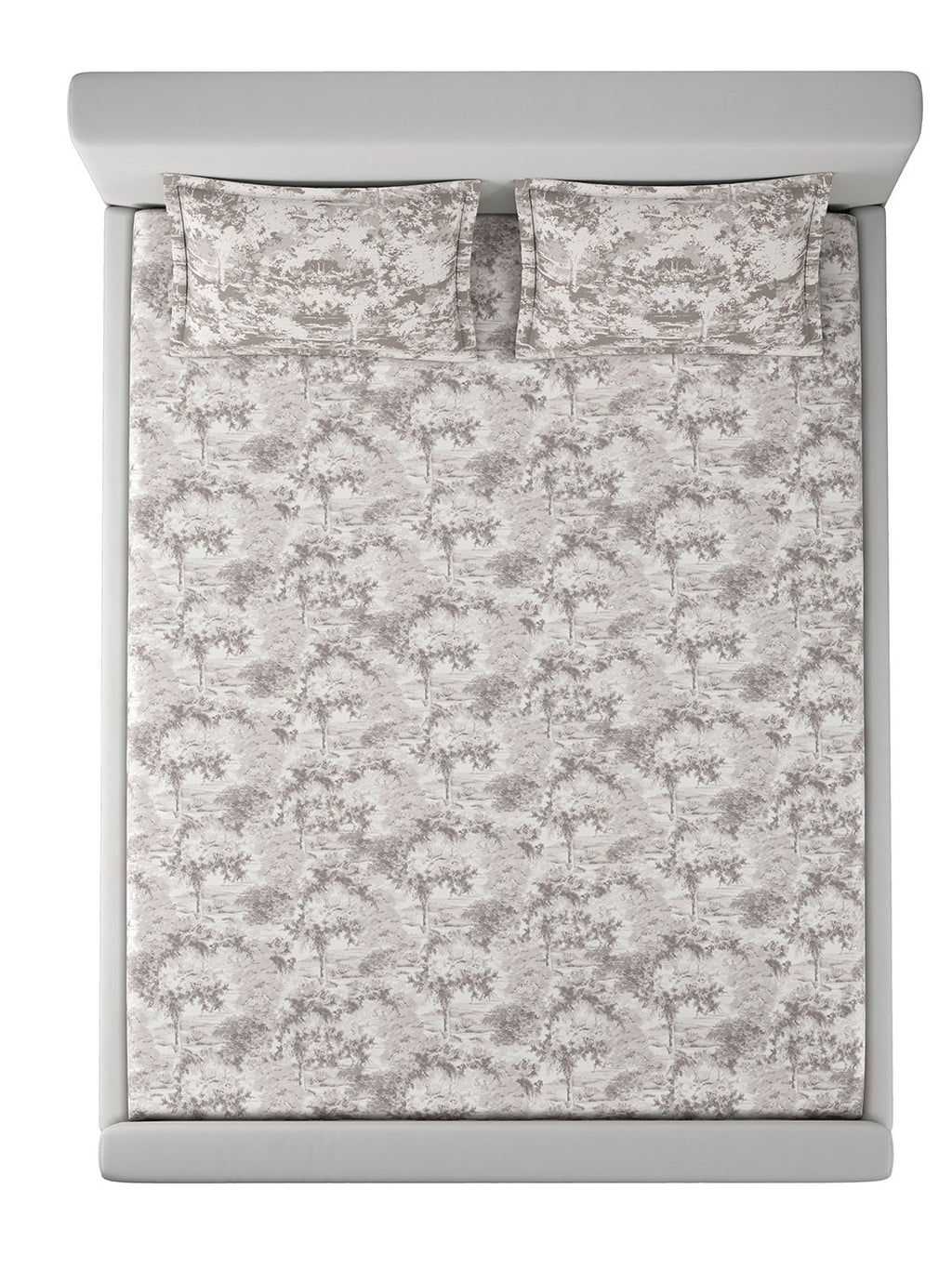 CANOPY-DOVE GREY KING BED SHEET SET