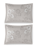 BEGONIA-ASH GREY KING BED SHEET SET